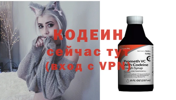 эйфоретик Арсеньев