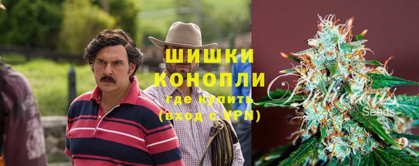 эйфоретик Арсеньев