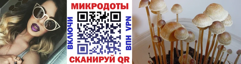 Псилоцибиновые грибы мицелий  Сычёвка 